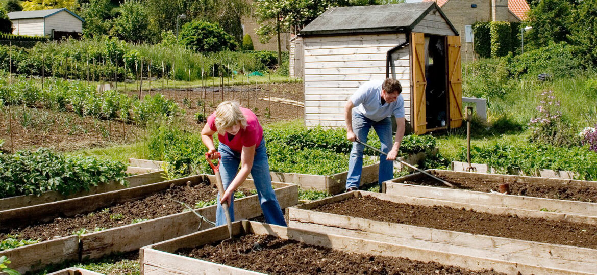 Allotments