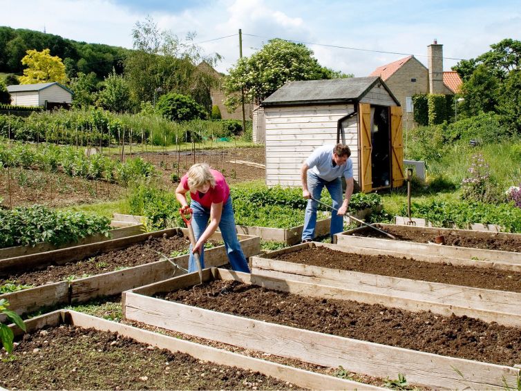 Allotments