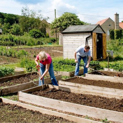 Allotments